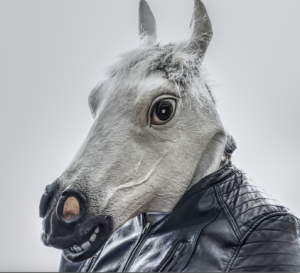 A person wearing a black leather jacket has a gray horse head which appears to be smiling. The photo is of the shoulders and head. One eye is displayed of the horse's head. It is large, with a white dot in a large black iris. The horse head appears to be fabric, and the hair on top of the head is gray.